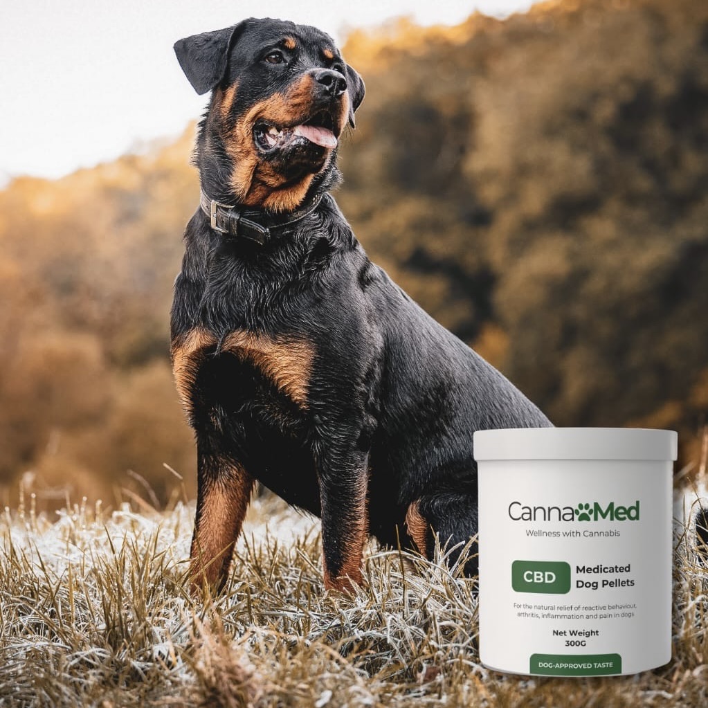 28% off on CannaMed CBD Medicated Dog Pellets | OneDayOnly