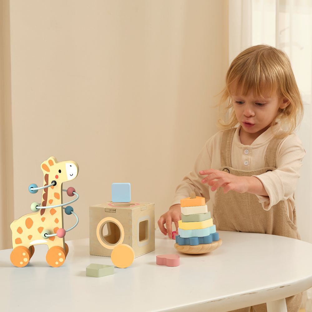 20% off on Tooky Toy 3-in-1 Wooden Toy Gift Set | OneDayOnly