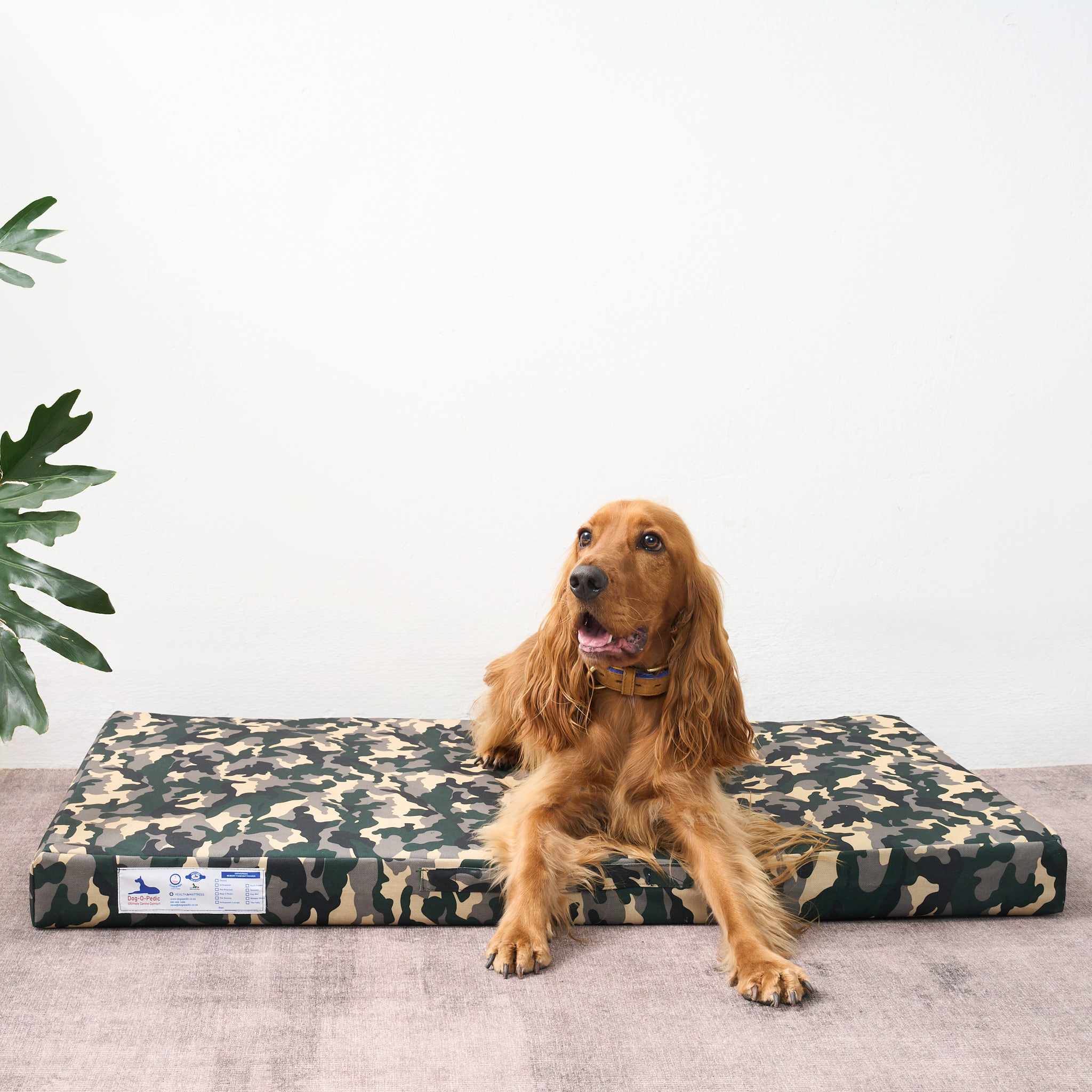 Waterproof Snoozer Dual HD & Memory Foam Mattress