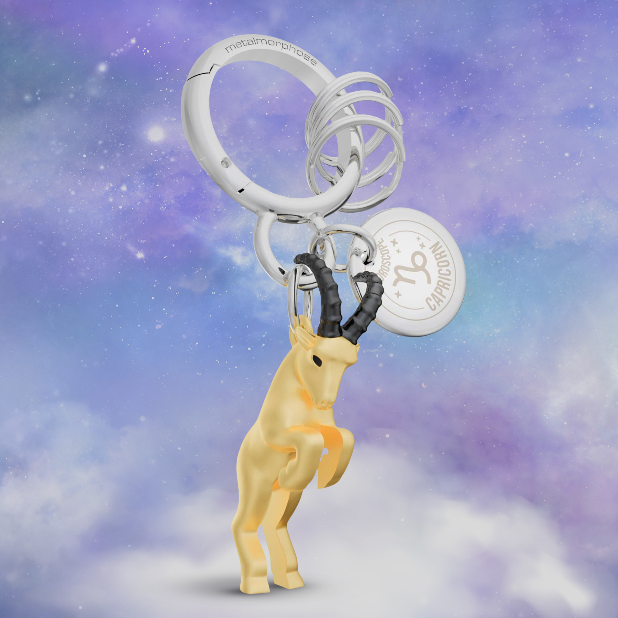 Zodiac Star Sign Key Rings