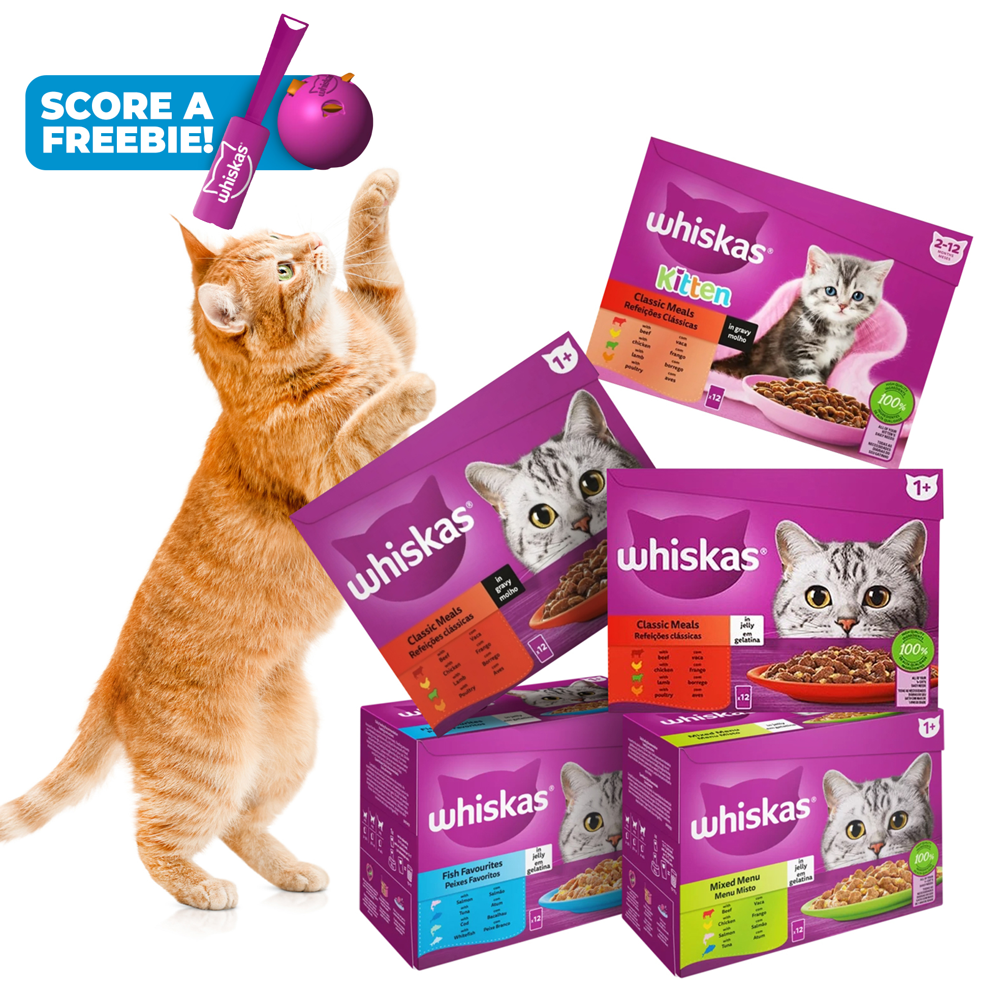 85g Adult Wet Food (12's)