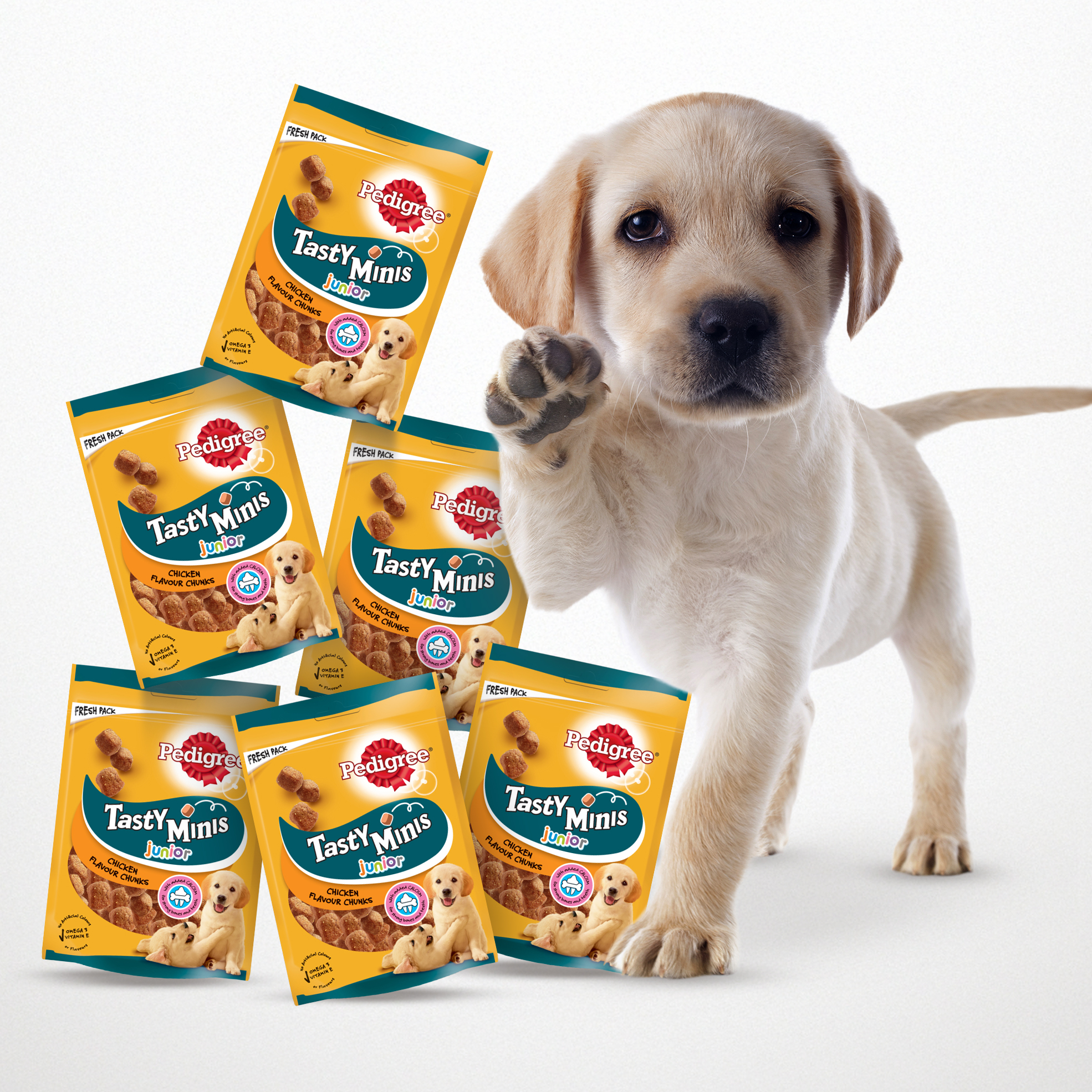 4x Tasty Minis Chewy Chunks Dog Treats