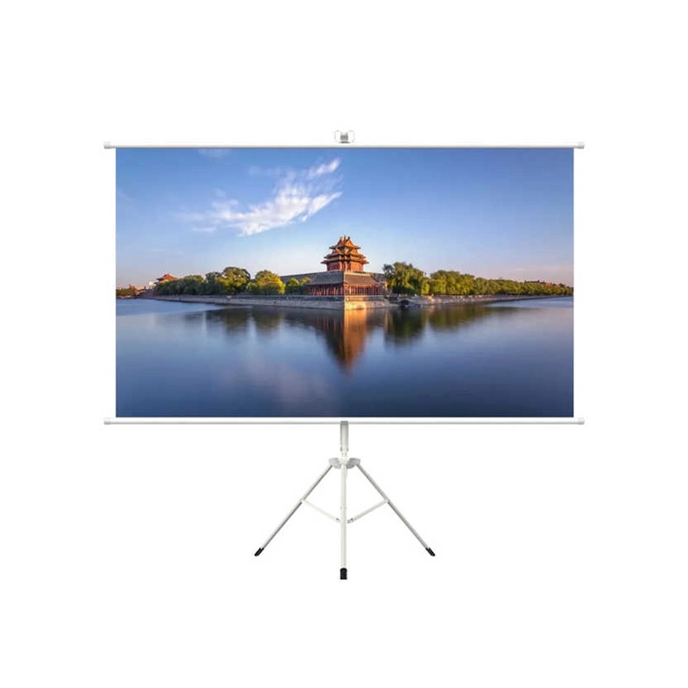100" Matte Surface Tripod Screen