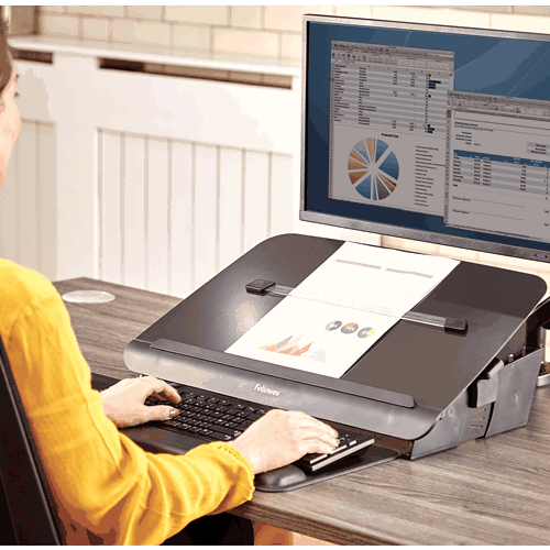 Hana Ergonomic Document Holder and Writing Stand