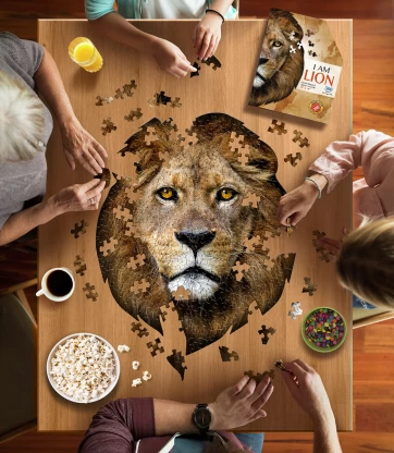 30% off on MADD CAPP Educational Puzzle | OneDayOnly