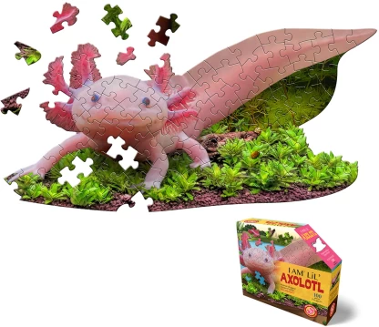 30% off on MADD CAPP Educational Puzzle | OneDayOnly