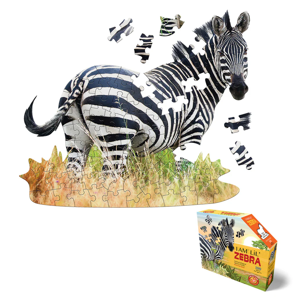 30% off on MADD CAPP Educational Puzzle | OneDayOnly