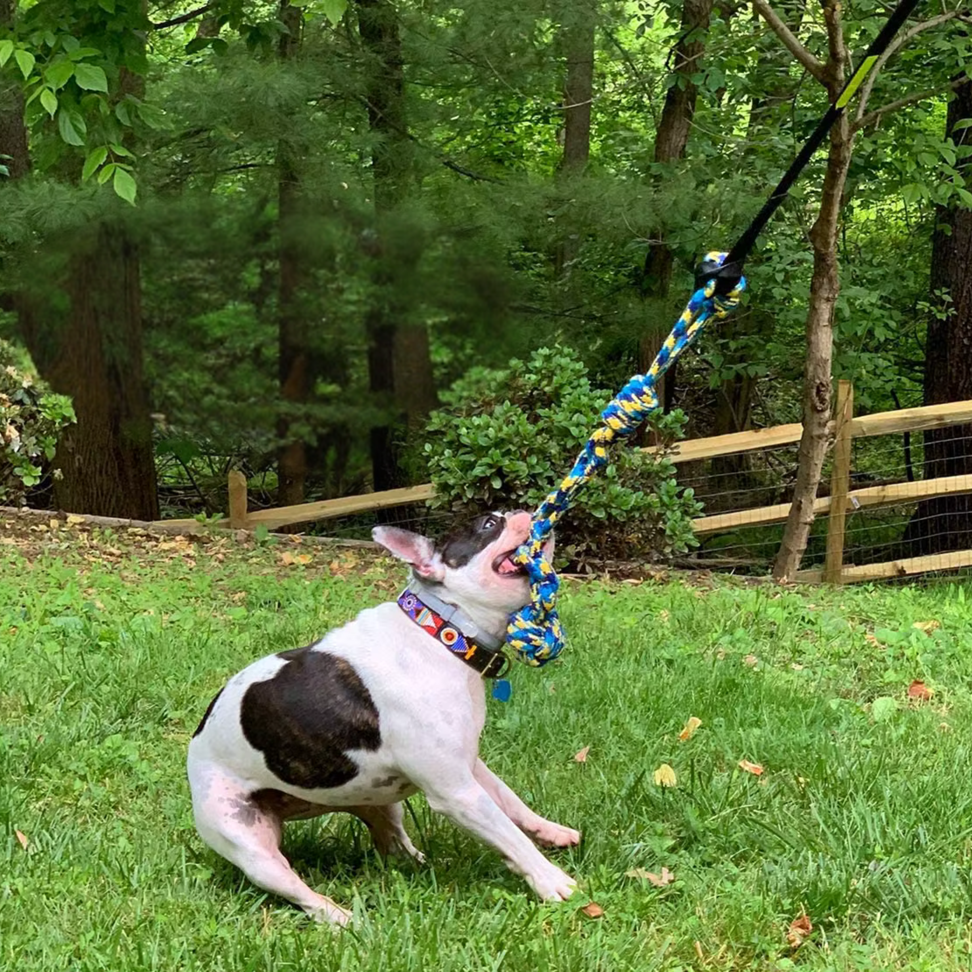 Functionality Illustration (not exact product)