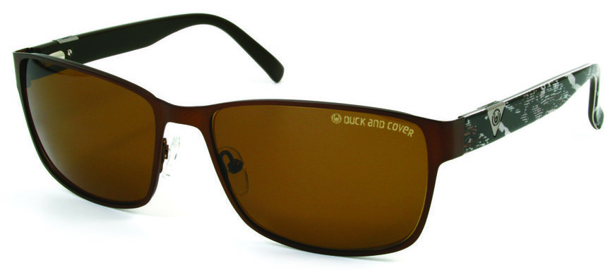 DCS013-C2