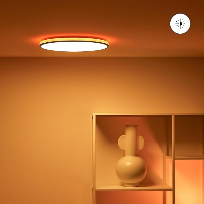 2700-6500K 21W Wiz Ceiling Light