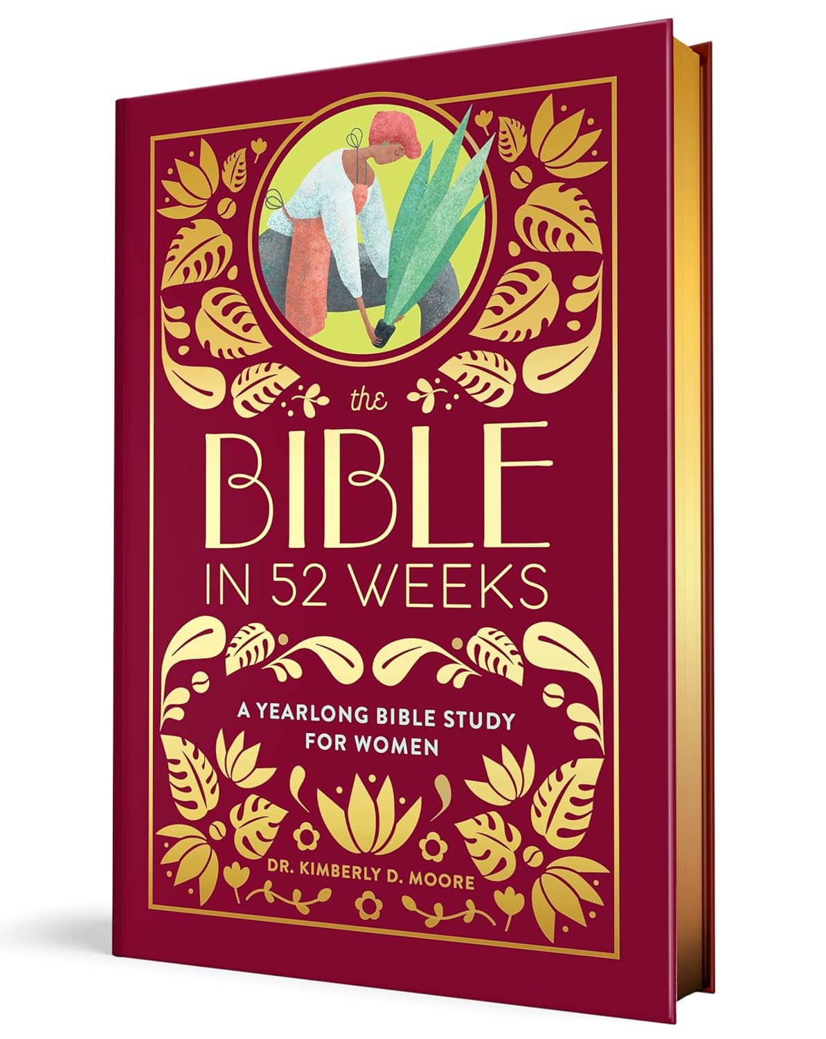 The Bible in 52 Weeks (Deluxe Edition): A Yearlong Bible Study for Women (Hardcover)