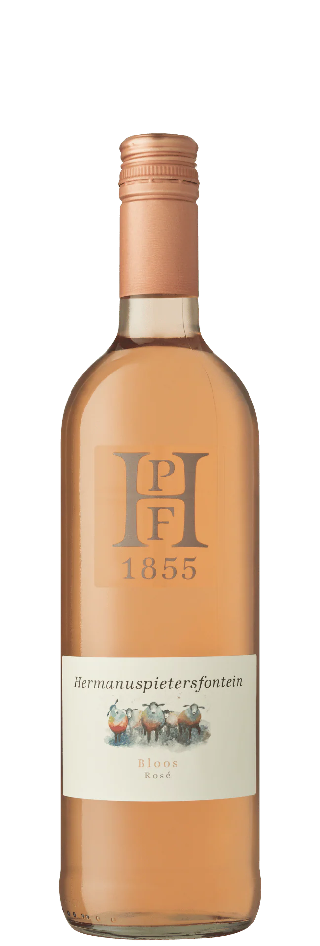 22% off on 6x Bloos Rosé 2025 | OneDayOnly