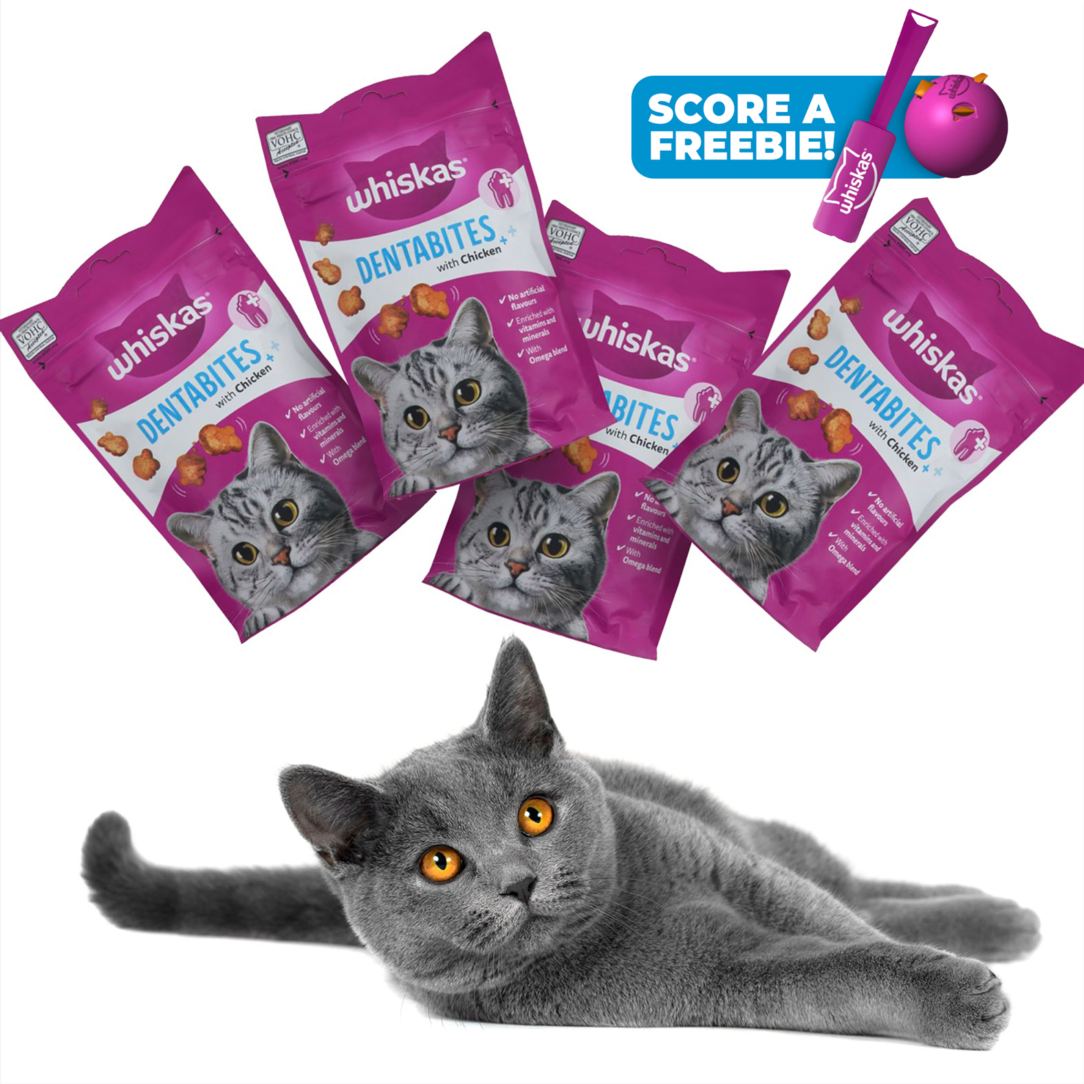 6x 40g DentaBites Cat Treats