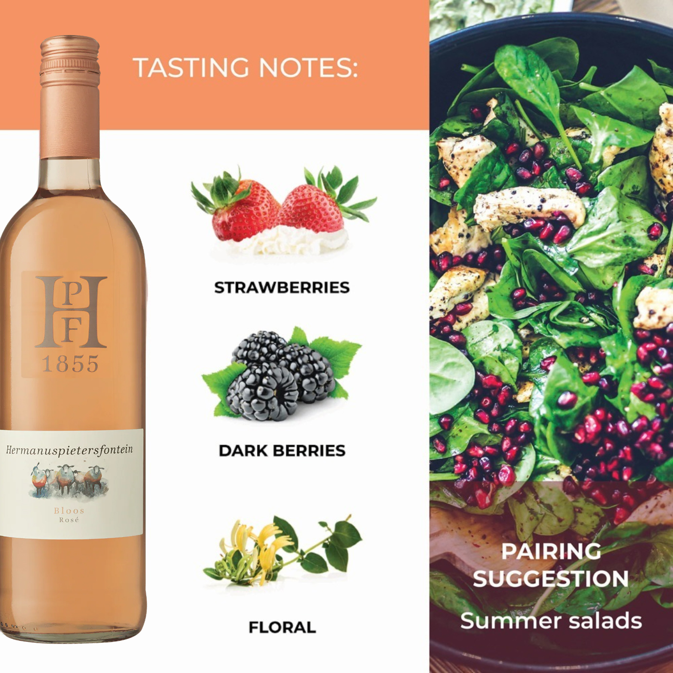 22% off on 6x Bloos Rosé 2025 | OneDayOnly