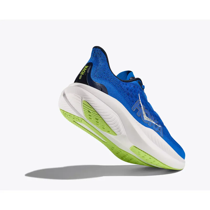 Electric Cobalt / Varsity Navy