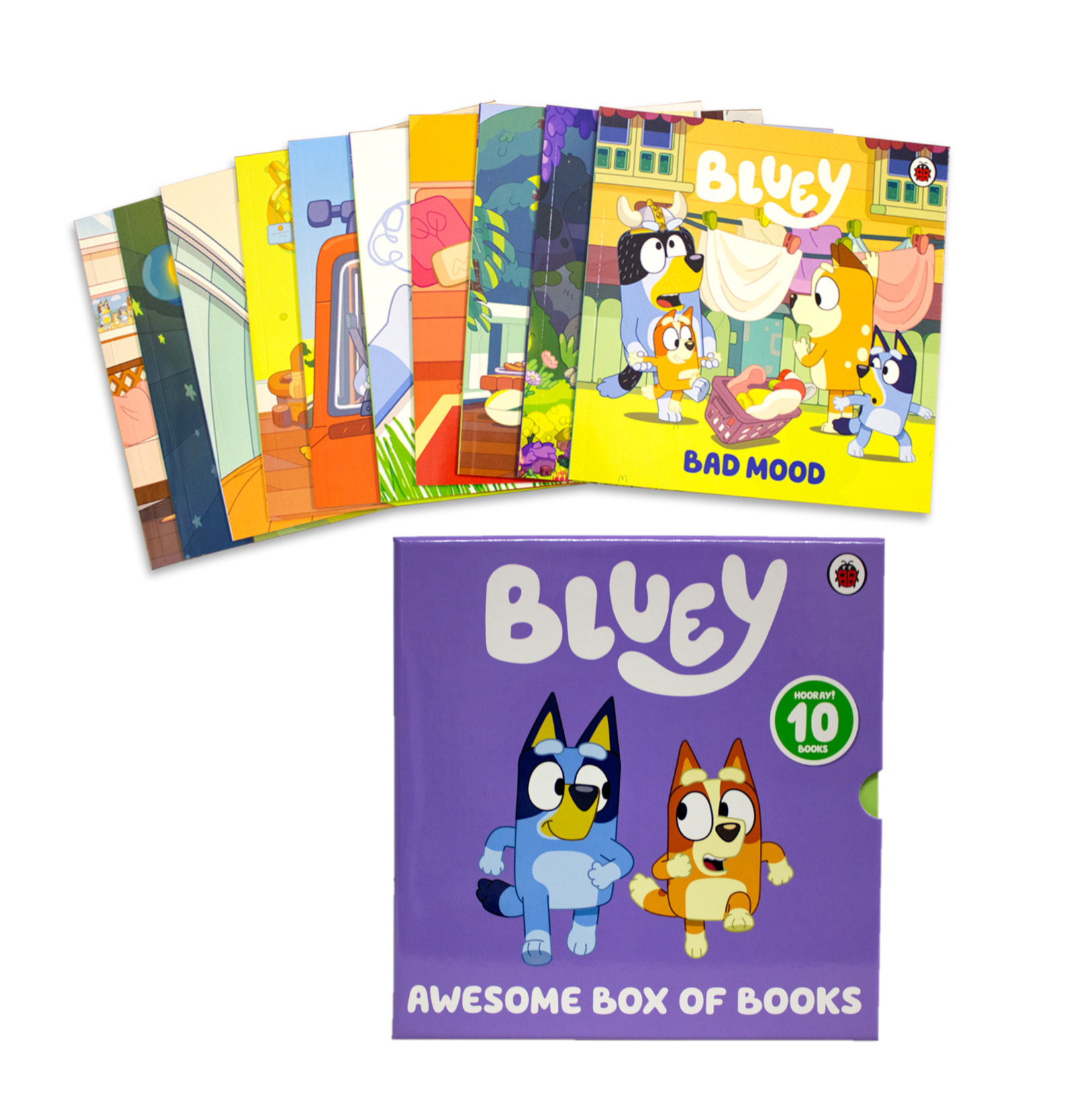 Awesome Box of Books (10 Books)