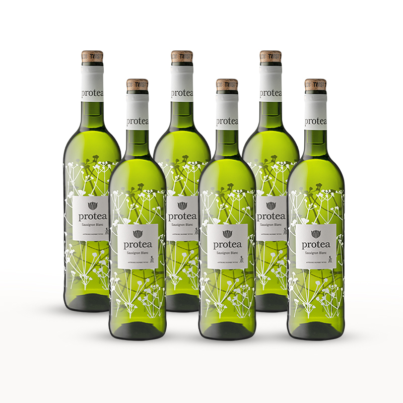 6x Sauvignon Blanc 2025