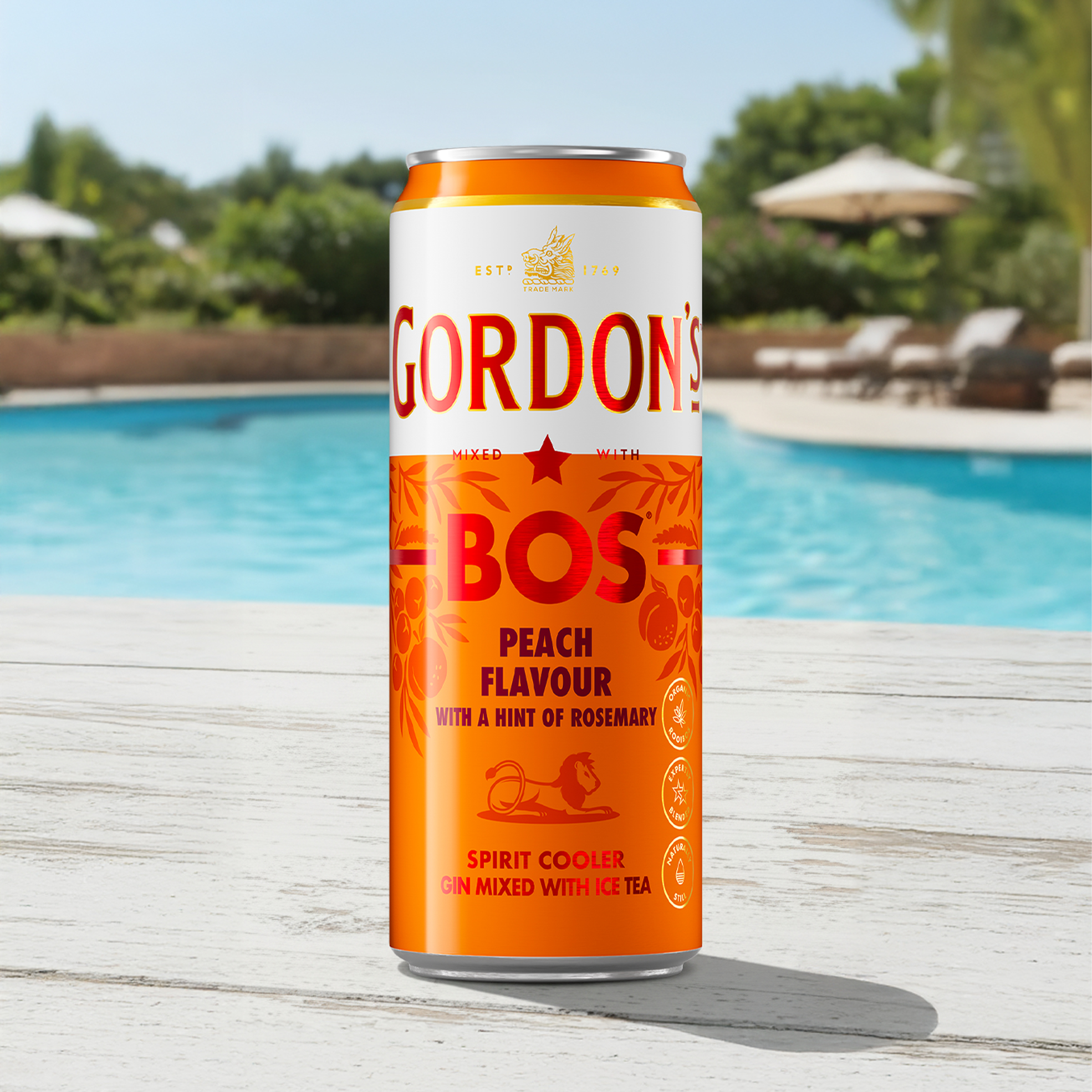 Gordon's | Bos 24x 300ml Gin and Ice Tea Cans | OneDayOnly
