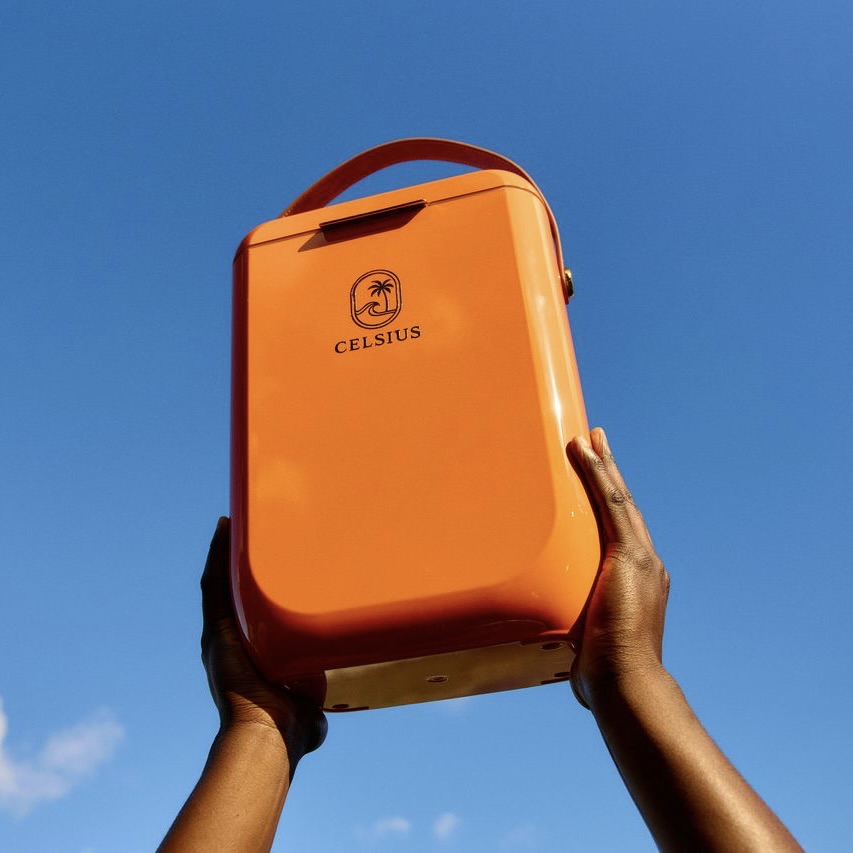 10L Premium Cooler Box