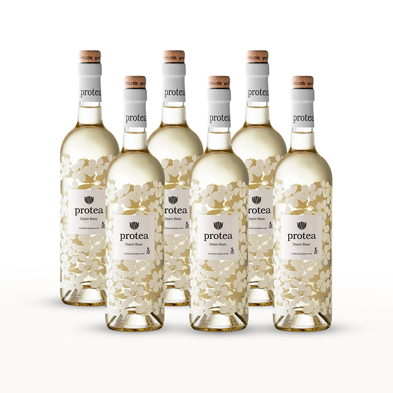 6x Chenin Blanc 2025