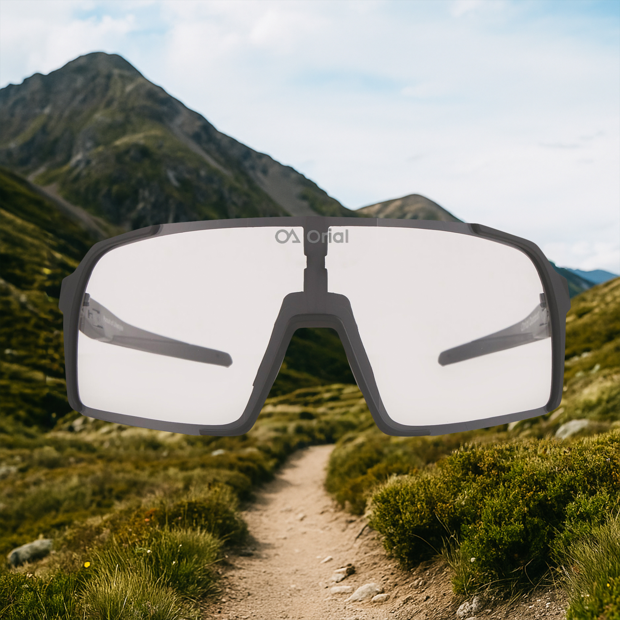 Photochromic Pro Glasses and CAT3 Polarized Lens