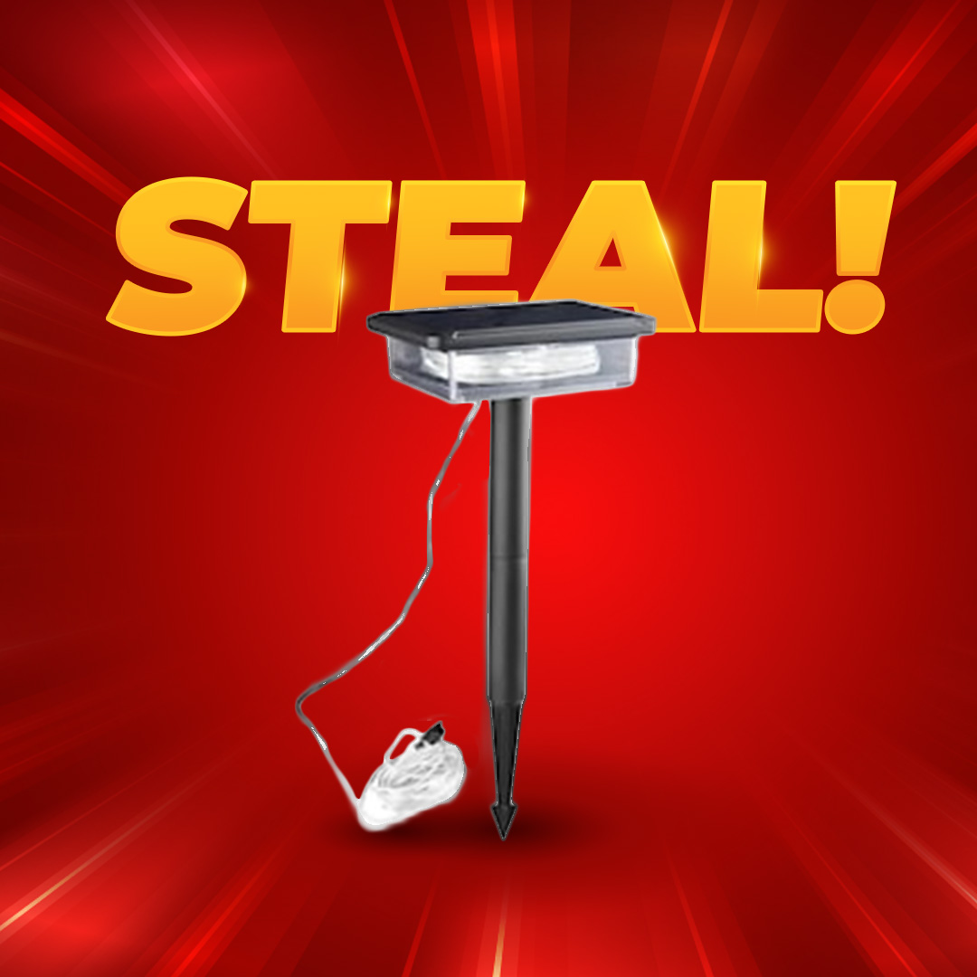 2x 2-in-1 Solar Garden Light and String Light