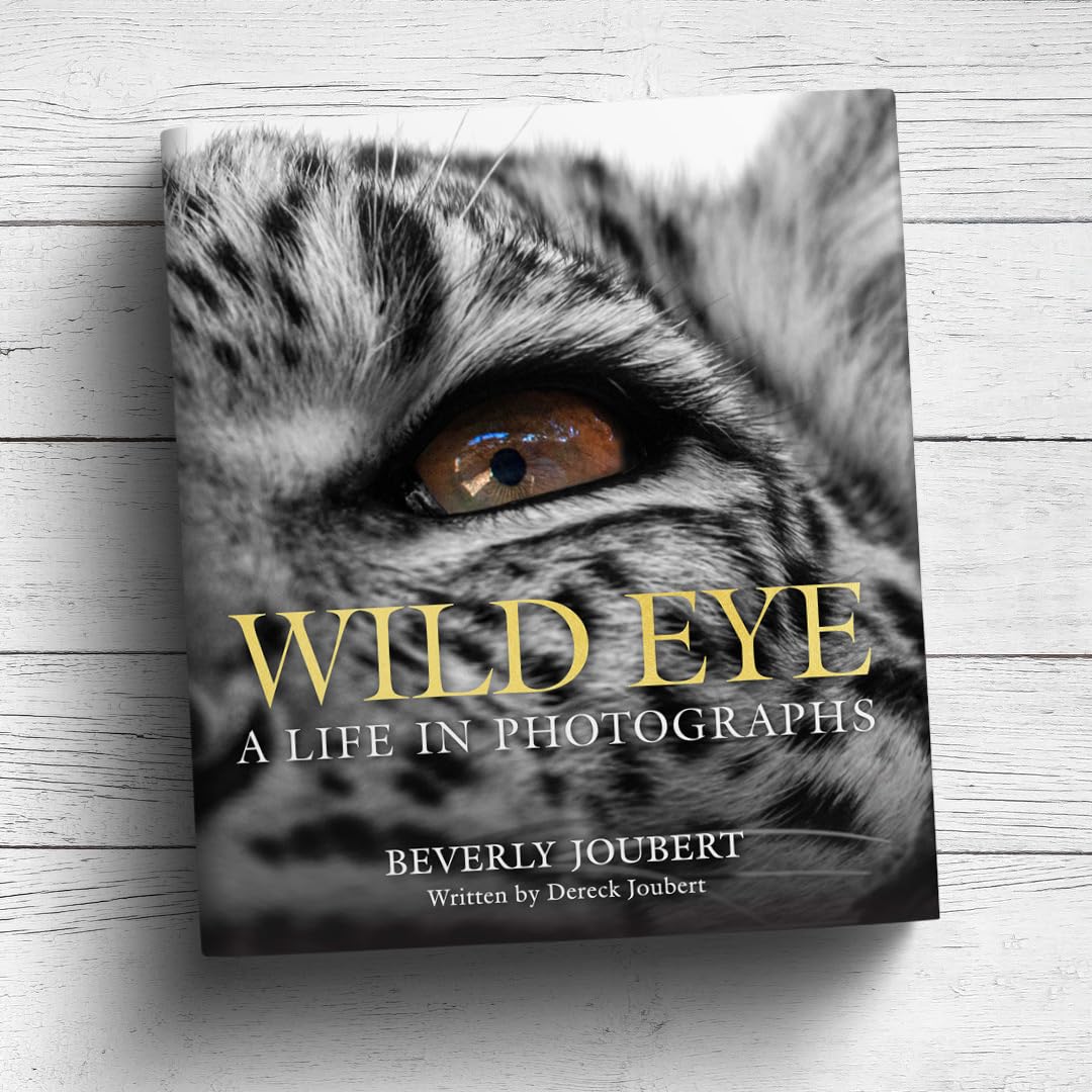 Wild Eye (Hardback)
