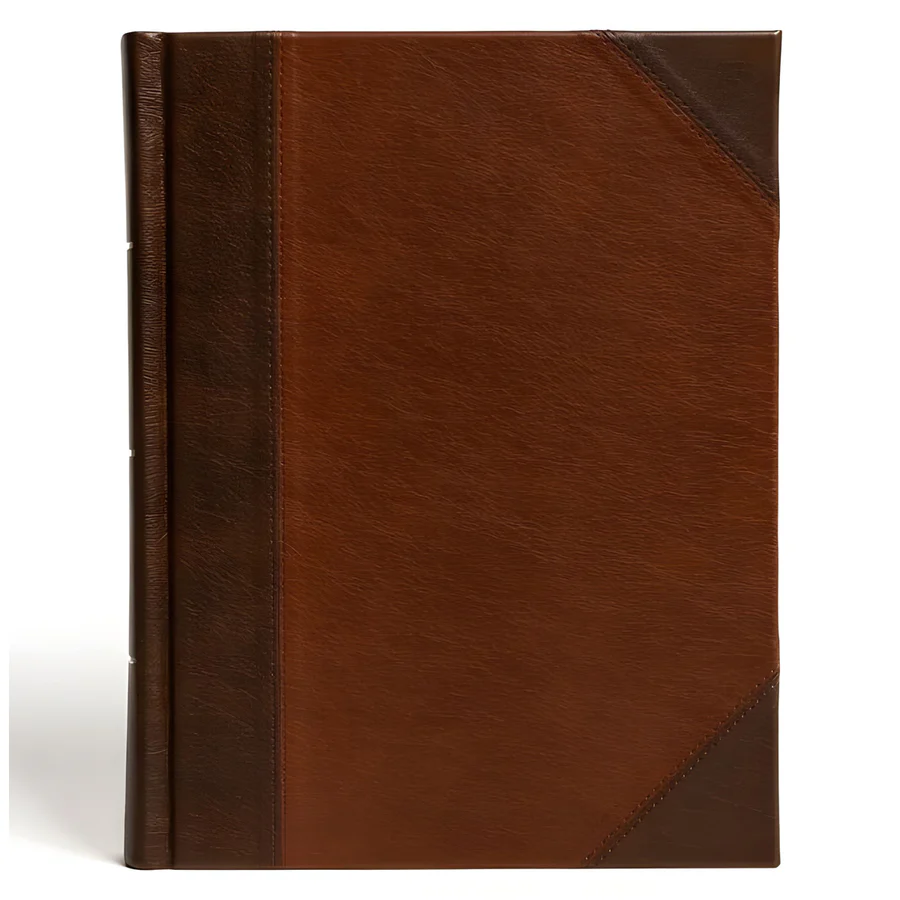 Imitation Leather Notetaking Bible with Large Print
