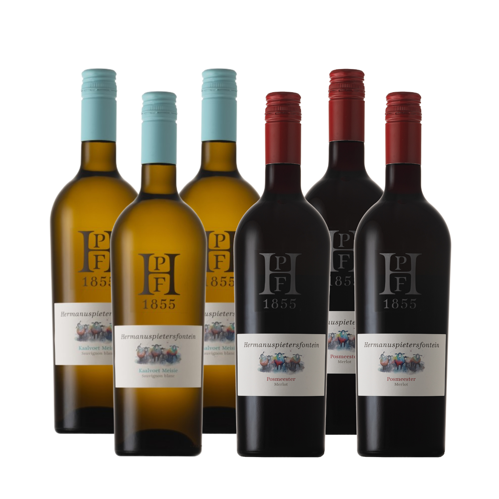 Posmeester Merlot & Kaalvoet Meisie Sauvignon Blanc Mixed Case