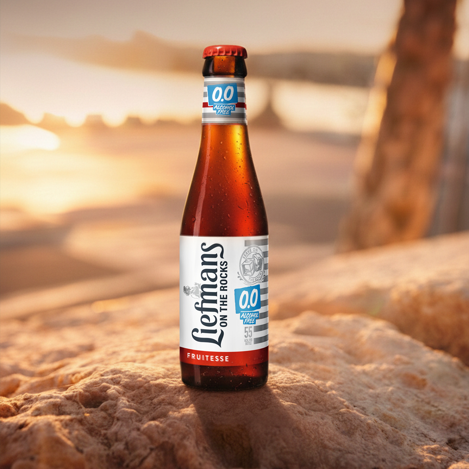 12x 250ml Non-Alcoholic Belgian Beers