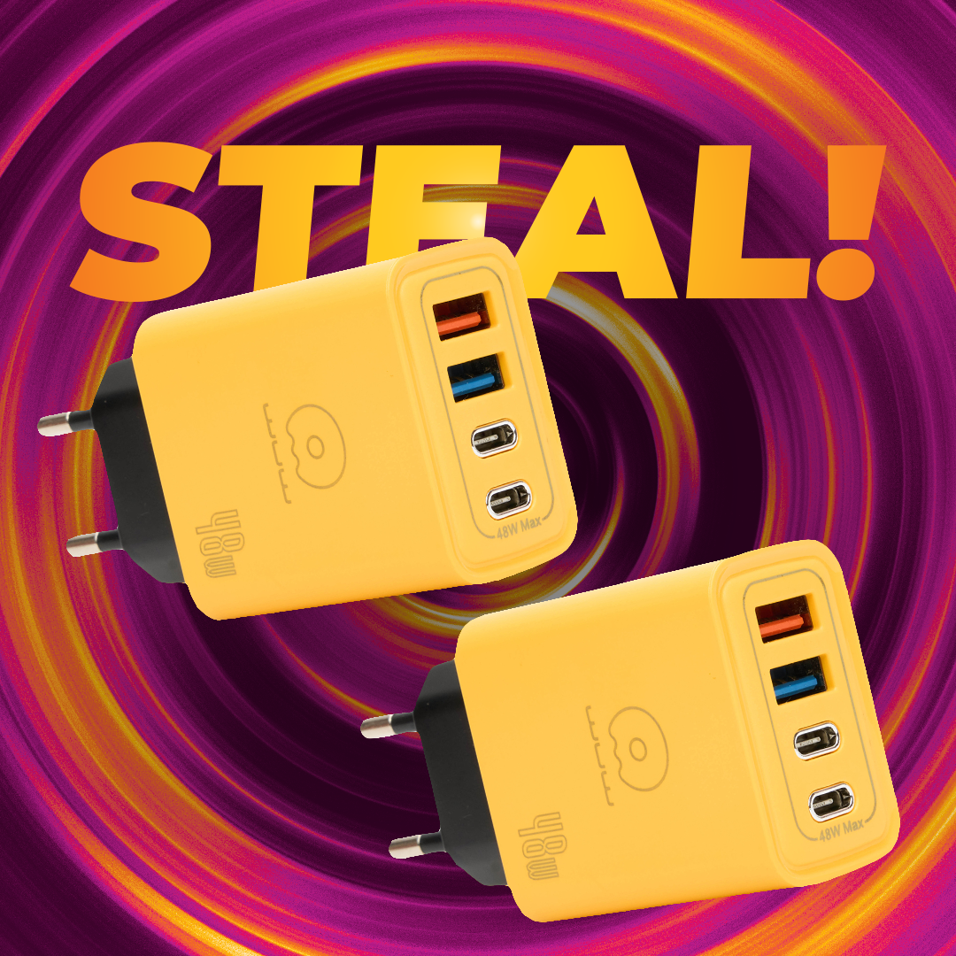 2x 48W Multi-Port Fast Charging Blocks