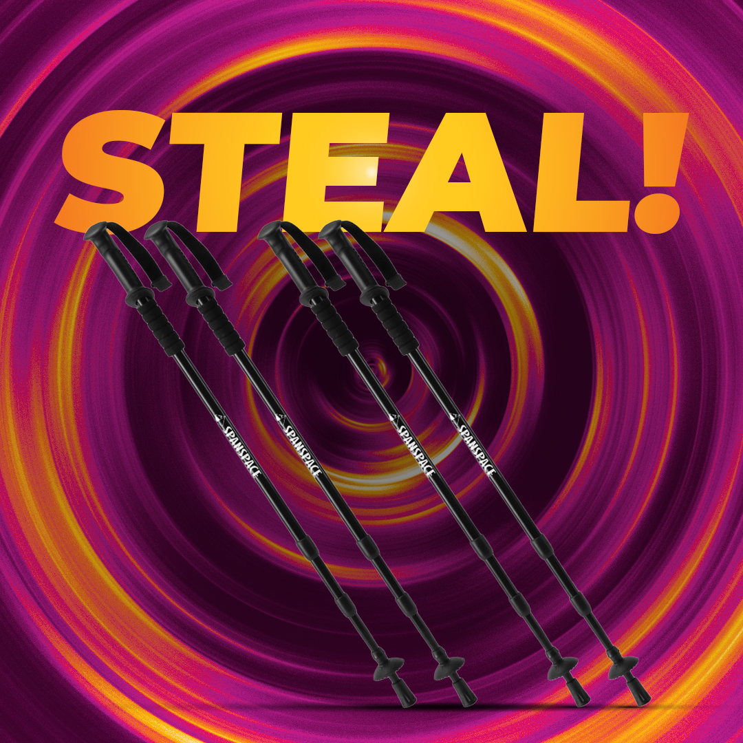 4x Aluminum Trekking Poles