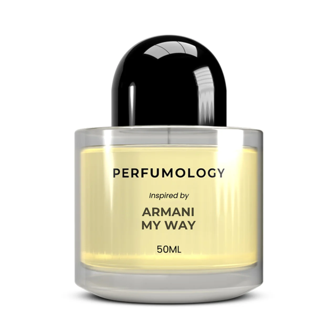 Ladies Inspired by Armani My Way