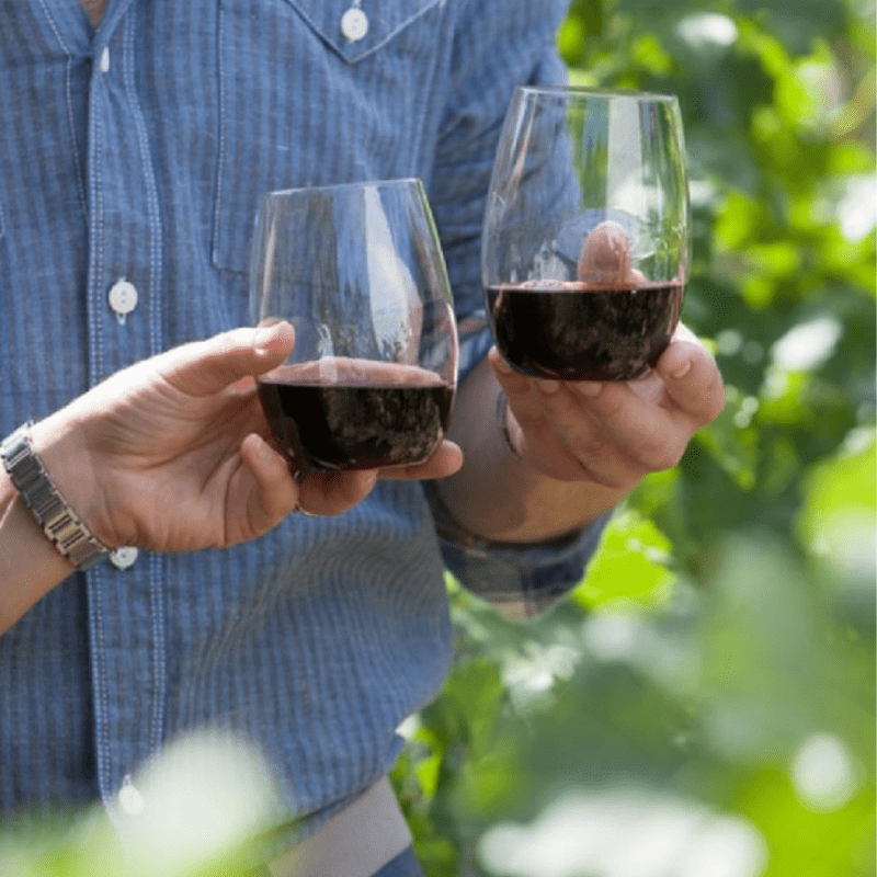 2x 470ml Red Wine Picnic Glasses