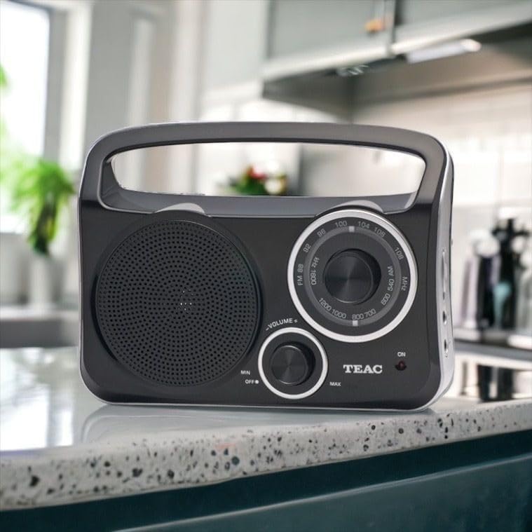 Portable AM/FM Radio (Model: PR-300)