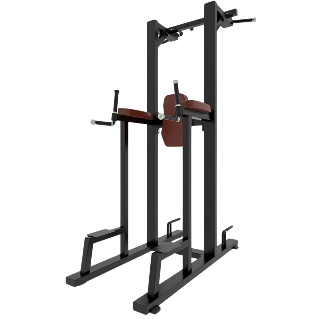 Commercial Pull Up Abs Station