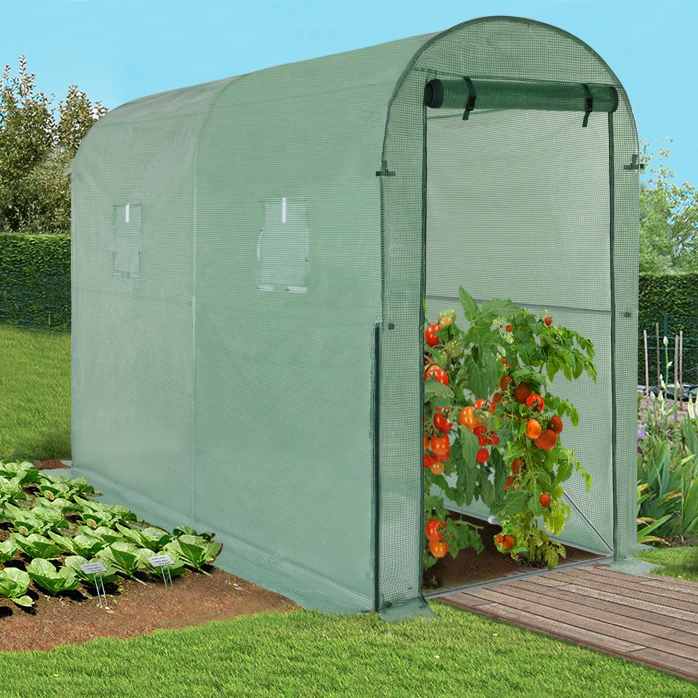 50% off on Outdoor Portable Greenhouse | OneDayOnly
