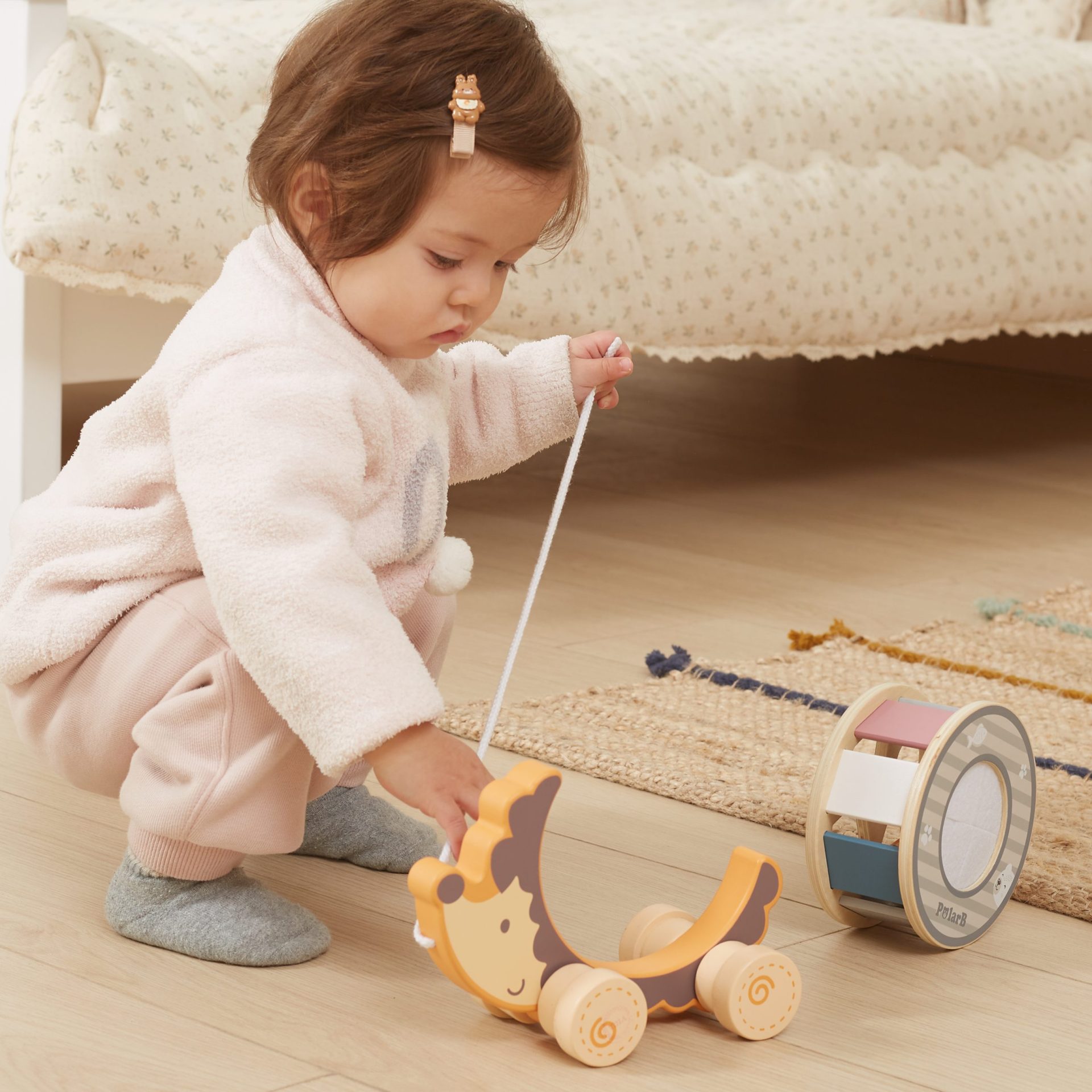 Hedgehog with Sorting Wheel Toy