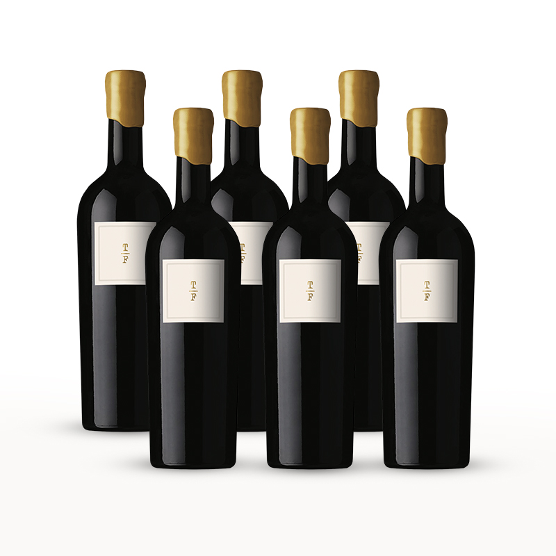 6x Terra Forte Malbec 2023