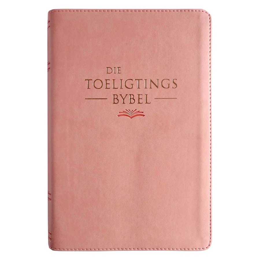 Nuwe Lewende Vertaling: Kunsleer Toeligtingsbybel