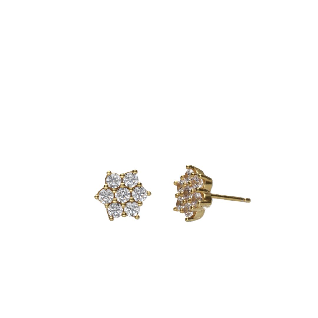 29% off on Eterniti 9kt Bonded Gold Earrings | OneDayOnly