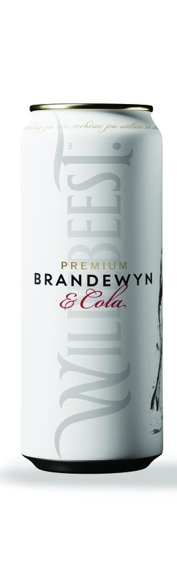11% off on 24x 300ml Pre-Mixed Brandy Cans | OneDayOnly