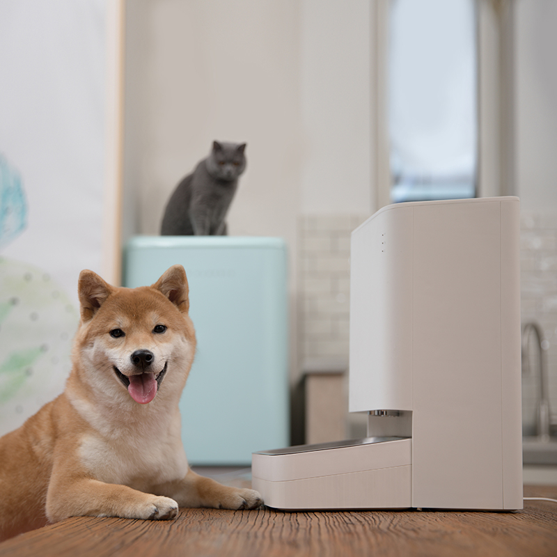 Smart Pet Food Feeder