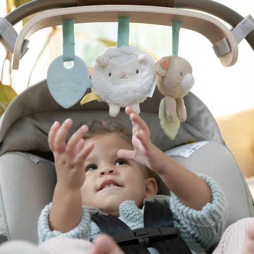 Wooden Carrier Toy Bar