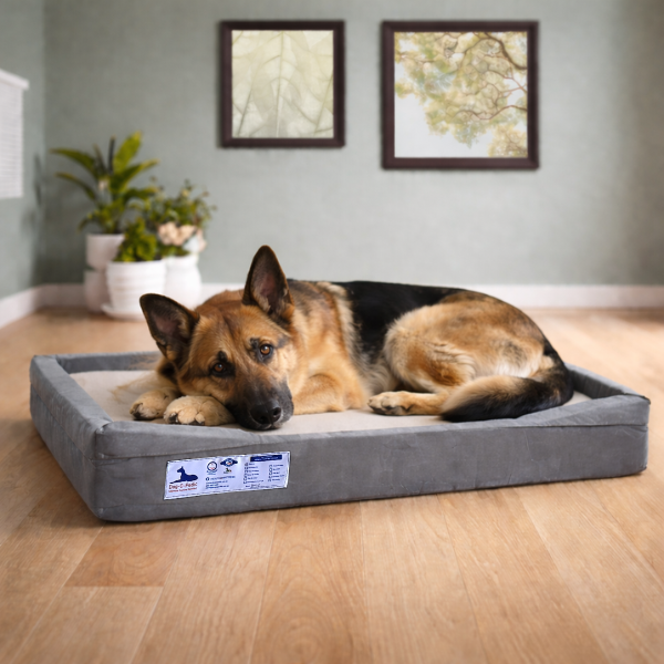 Latex Throne HD Foam Mattress