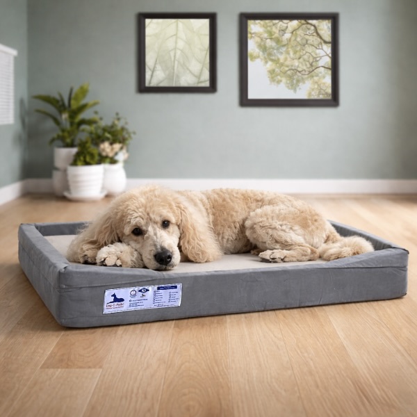 Latex Throne HD Foam Mattress