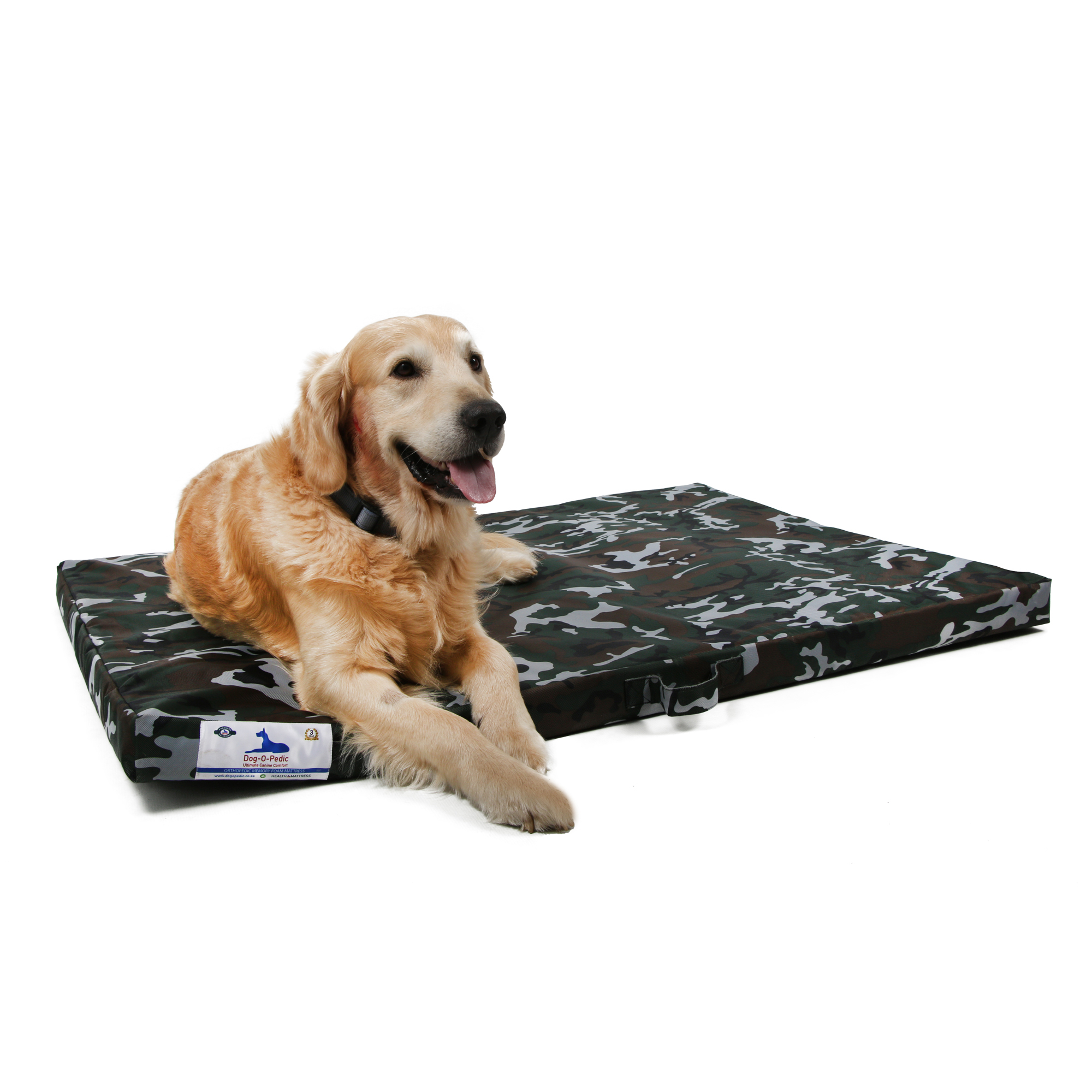 Stimulated Latex Foam Snoozer Mattress