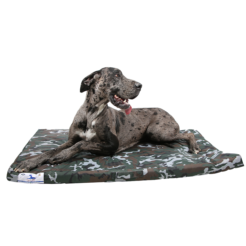 Stimulated Latex Foam Hush Puppy Mattress