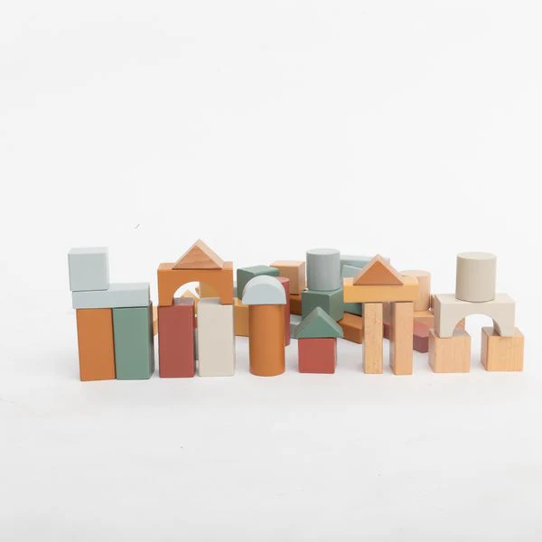 50-Piece Wooden Blocks Set With Sorter Lid