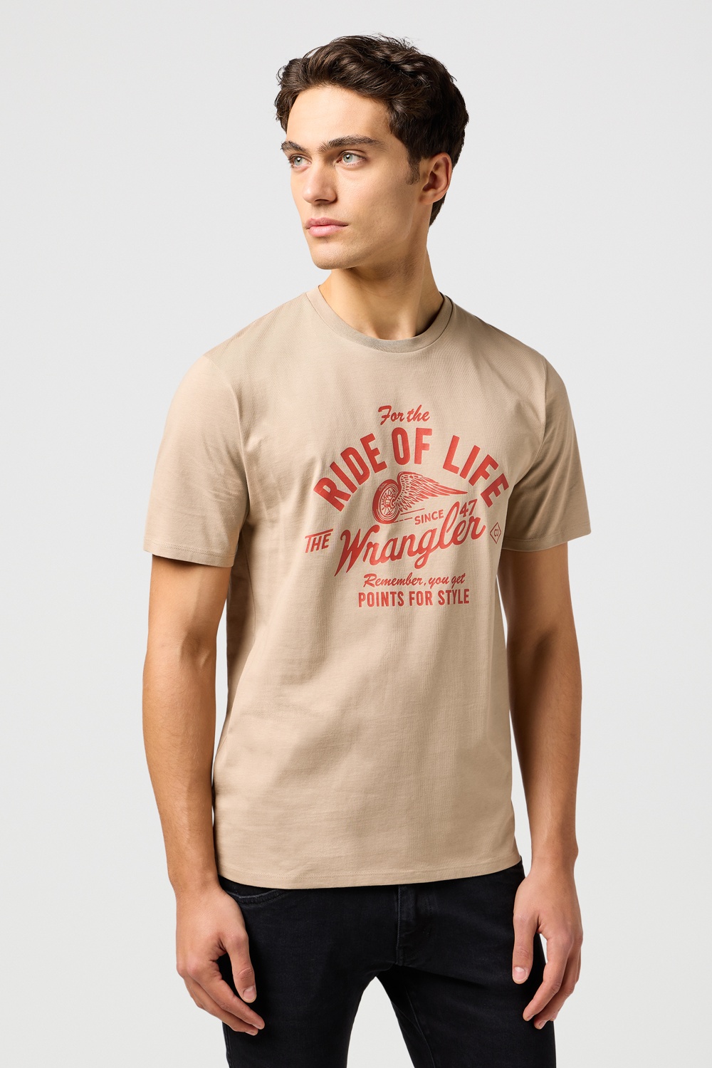 Bistre - For The Ride of Life